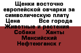 Щенки восточно европейской овчарки за символическую плату › Цена ­ 250 - Все города Животные и растения » Собаки   . Ханты-Мансийский,Нефтеюганск г.